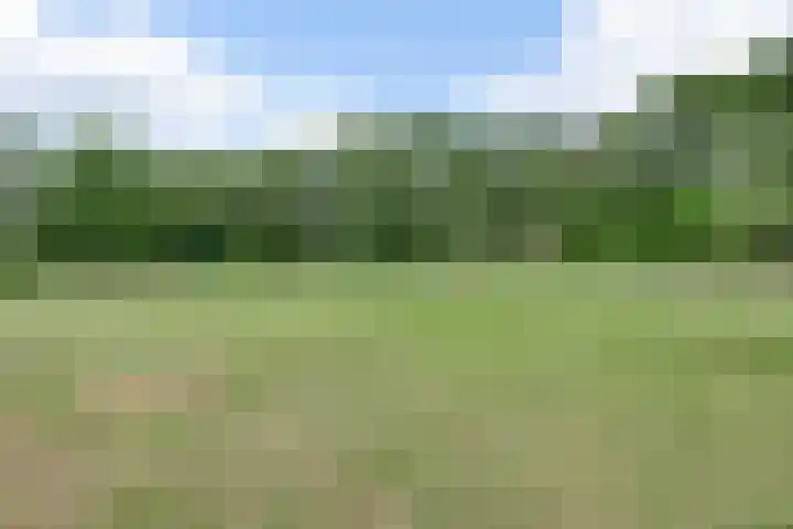 De Hoof 11 Swalmen thumbnail 38