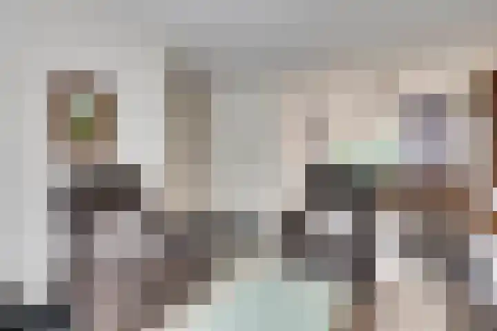 De Hoof 11 Swalmen thumbnail 4