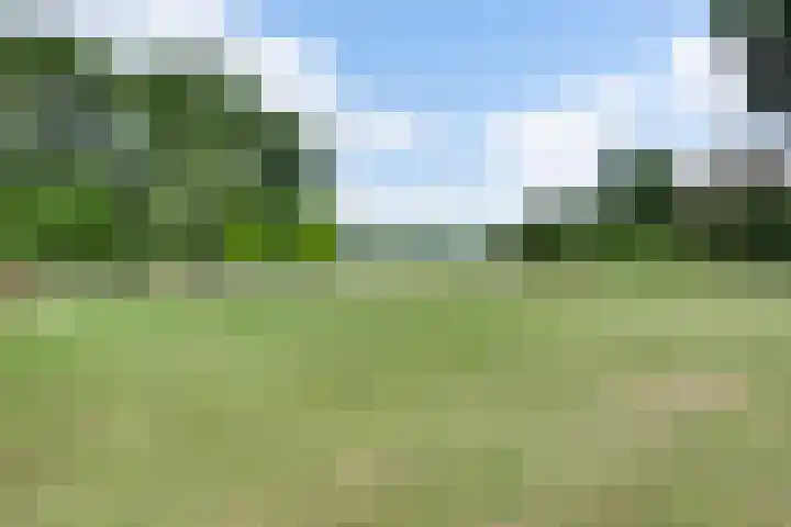 De Hoof 11 Swalmen thumbnail 40