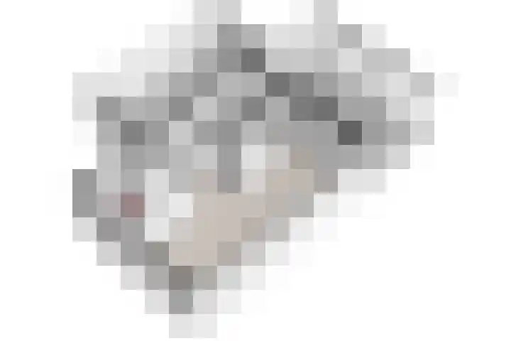 De Hoof 11 Swalmen thumbnail 45