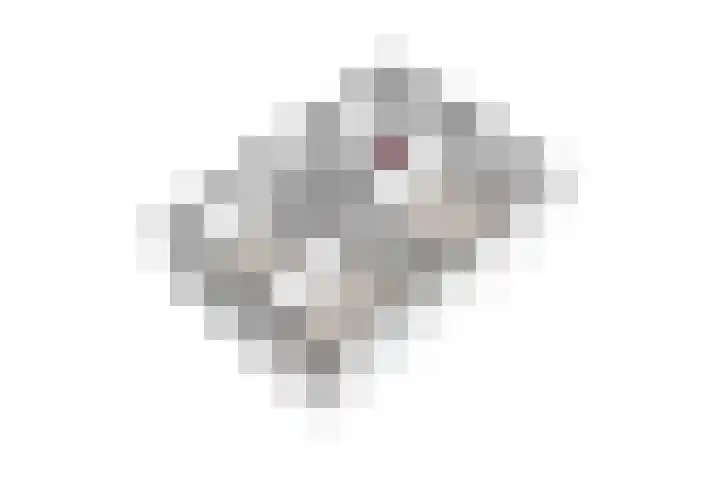 De Hoof 11 Swalmen thumbnail 46