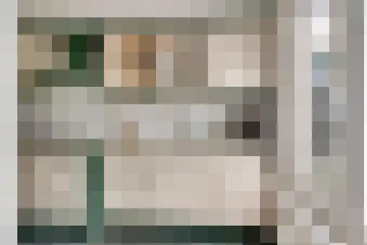 De Hoof 11 Swalmen thumbnail 5