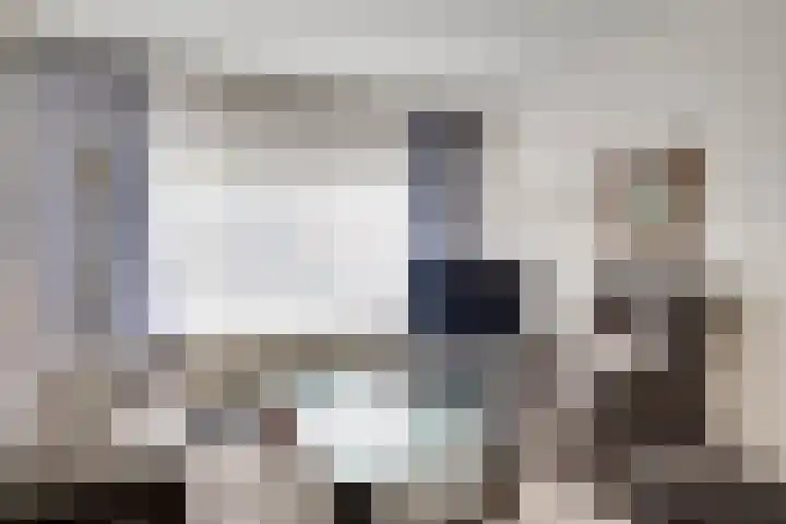 De Hoof 11 Swalmen thumbnail 6