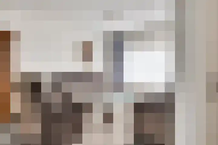 De Hoof 11 Swalmen thumbnail 7