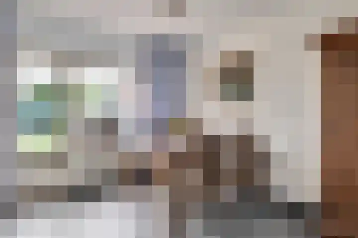 De Hoof 11 Swalmen thumbnail 8
