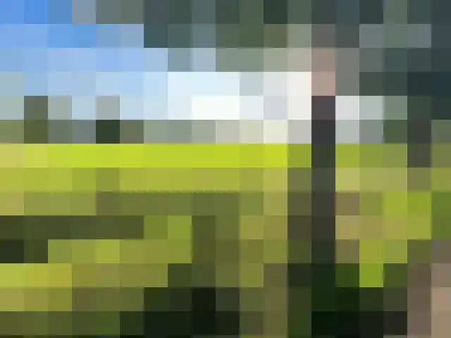 De Hoof Someren thumbnail 4