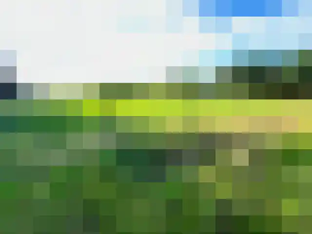 De Hoof Someren thumbnail 6