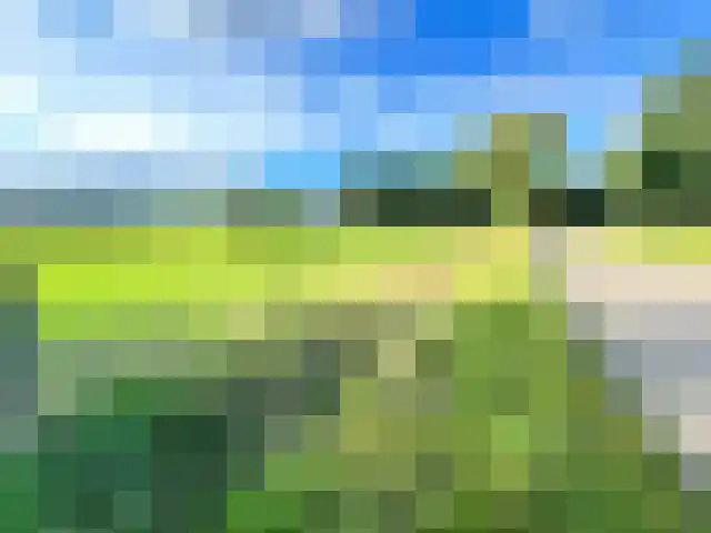 De Hoof Someren thumbnail 7