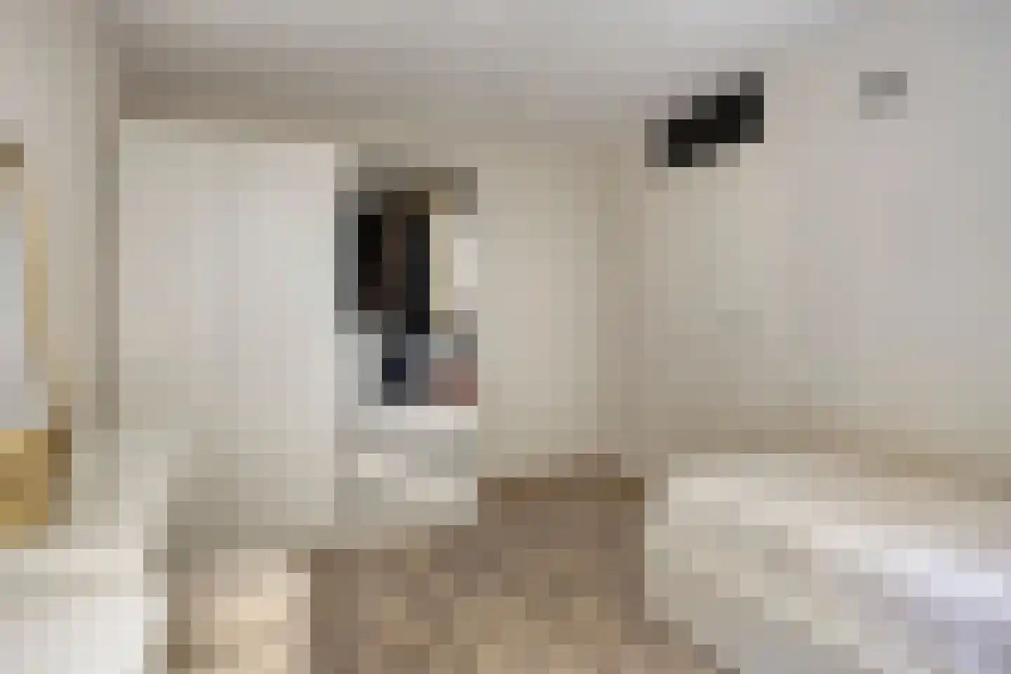 De Hoog 6 Hendrik-Ido-Ambacht thumbnail 16