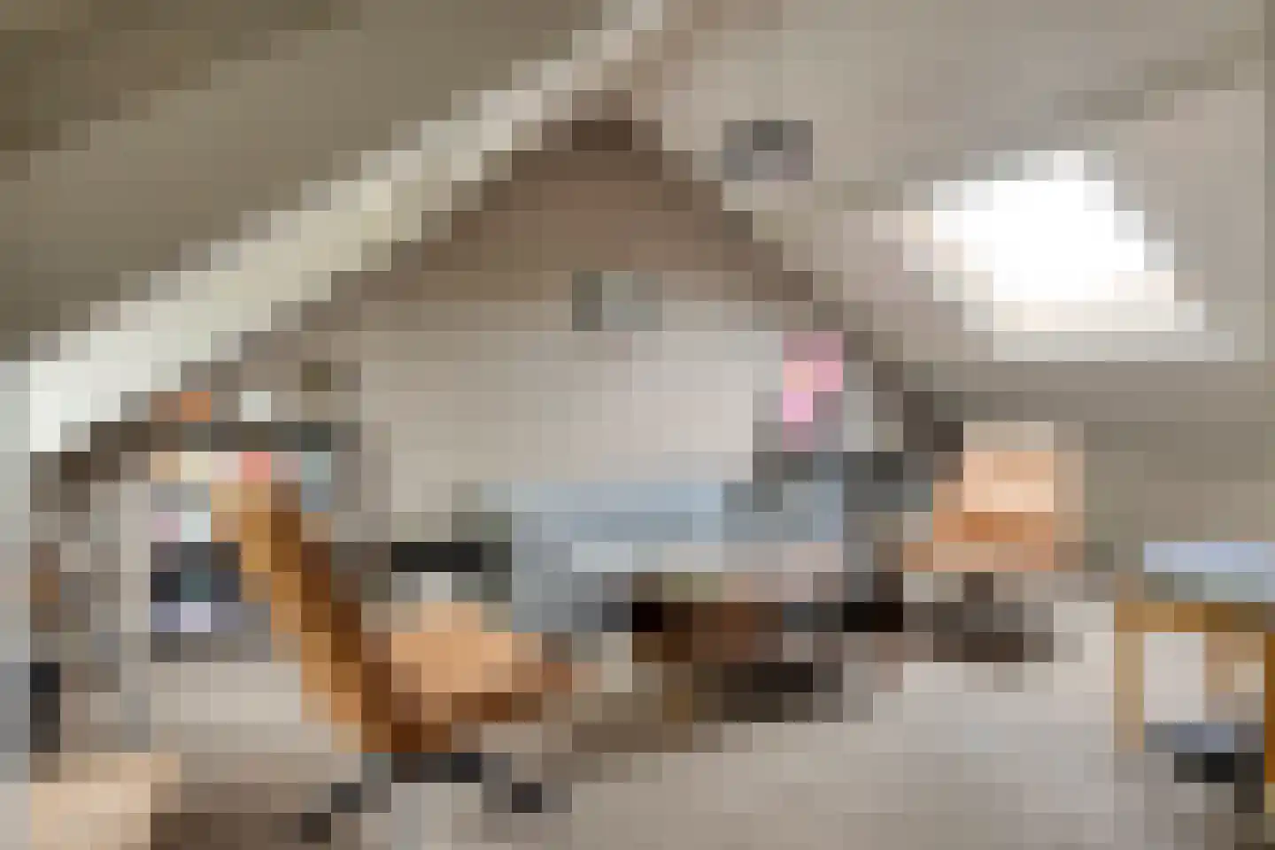 De Hoog 6 Hendrik-Ido-Ambacht thumbnail 18