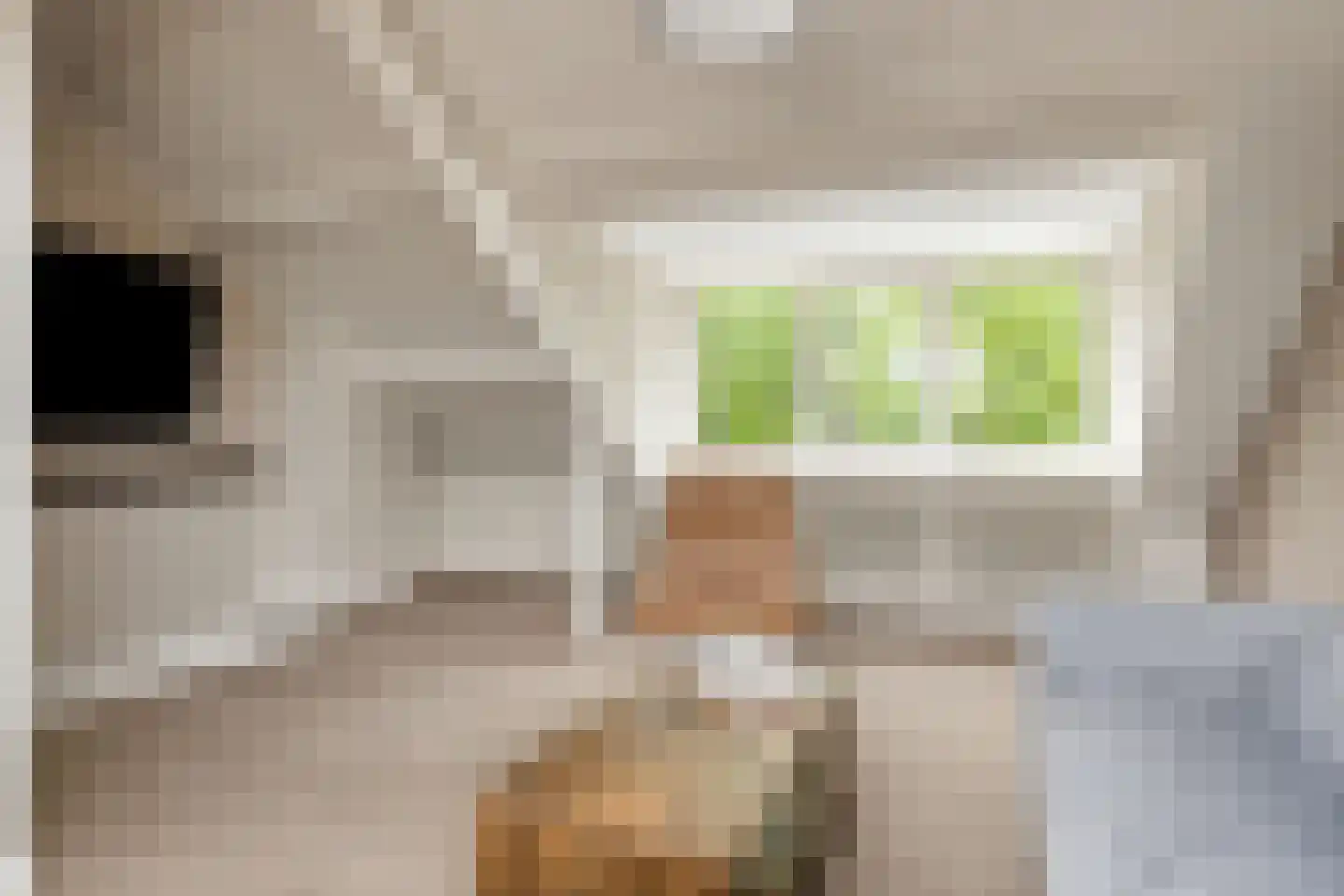 De Hoog 6 Hendrik-Ido-Ambacht thumbnail 19
