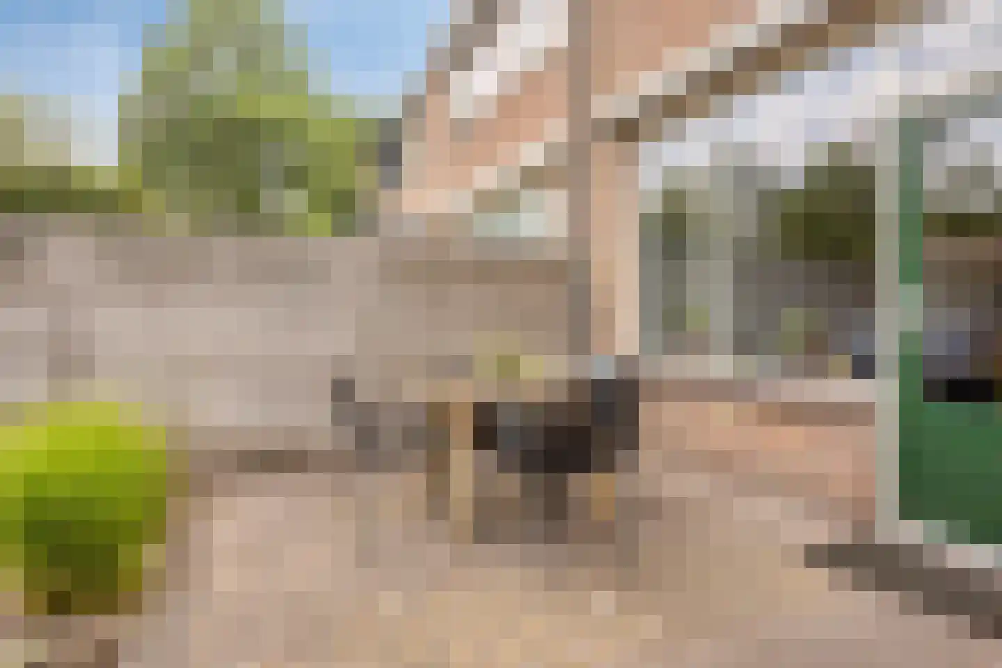 De Hoog 6 Hendrik-Ido-Ambacht thumbnail 21
