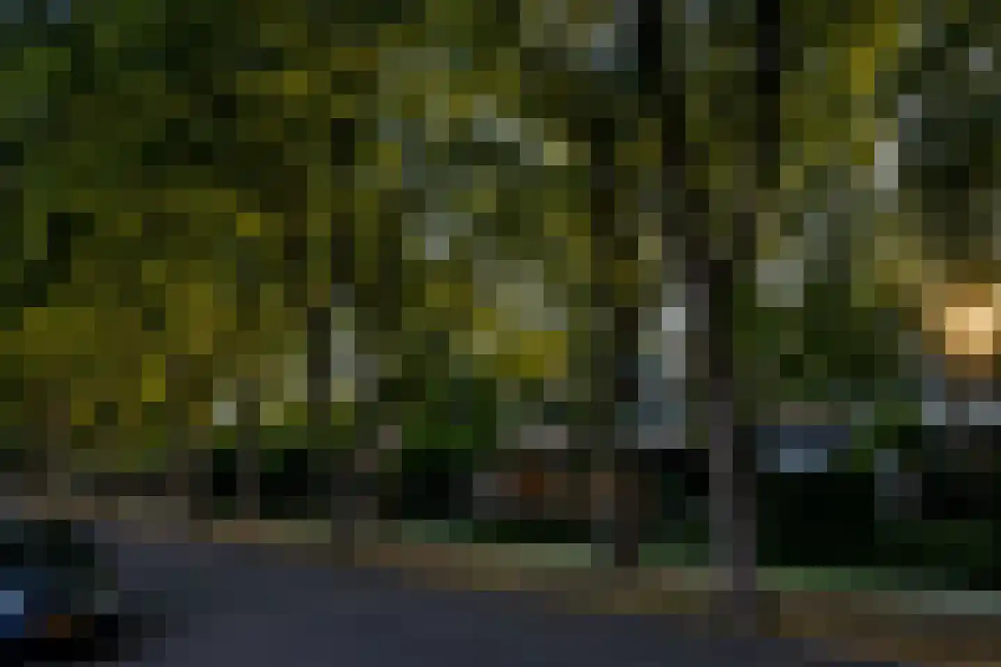 De Hoog 6 Hendrik-Ido-Ambacht thumbnail 25