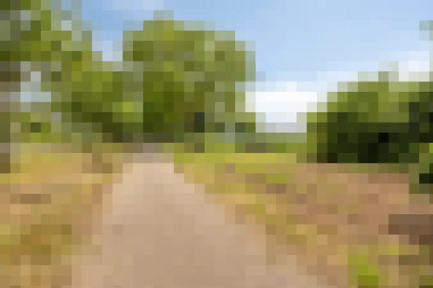 De Hoog 6 Hendrik-Ido-Ambacht thumbnail 27
