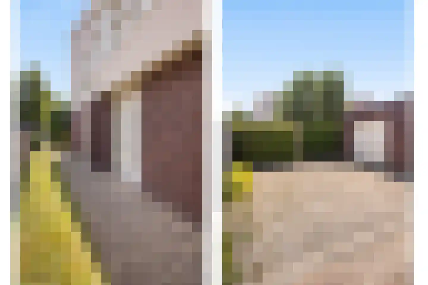 De Hooge Donck 13 Hendrik-Ido-Ambacht thumbnail 12