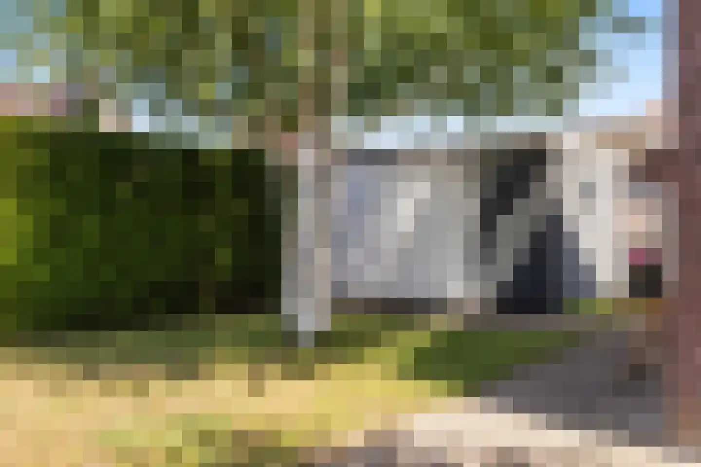De Hooge Donck 13 Hendrik-Ido-Ambacht thumbnail 18