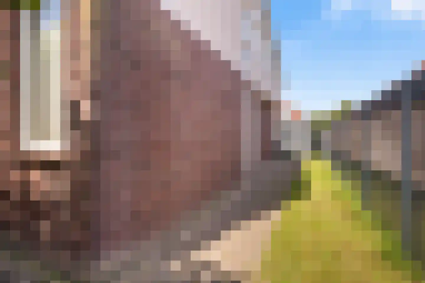 De Hooge Donck 13 Hendrik-Ido-Ambacht thumbnail 21