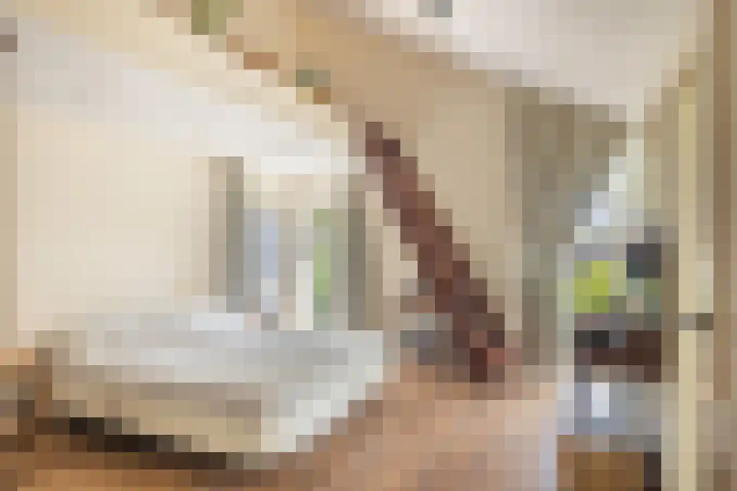 De Hooge Donck 13 Hendrik-Ido-Ambacht thumbnail 35