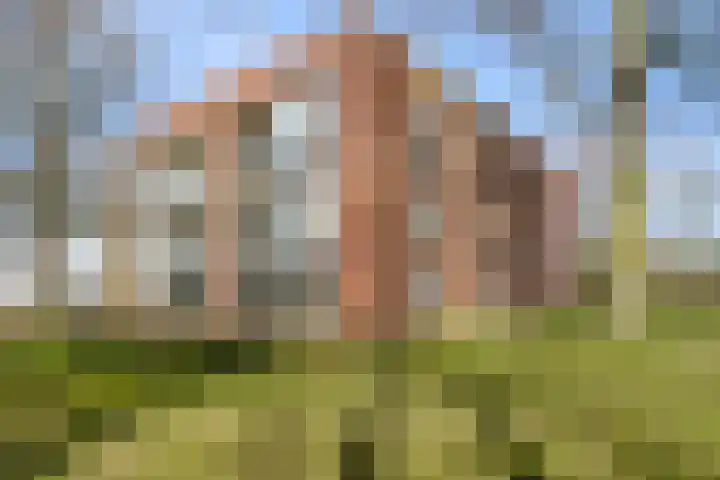 De Hooge Vlucht 3 in Ede