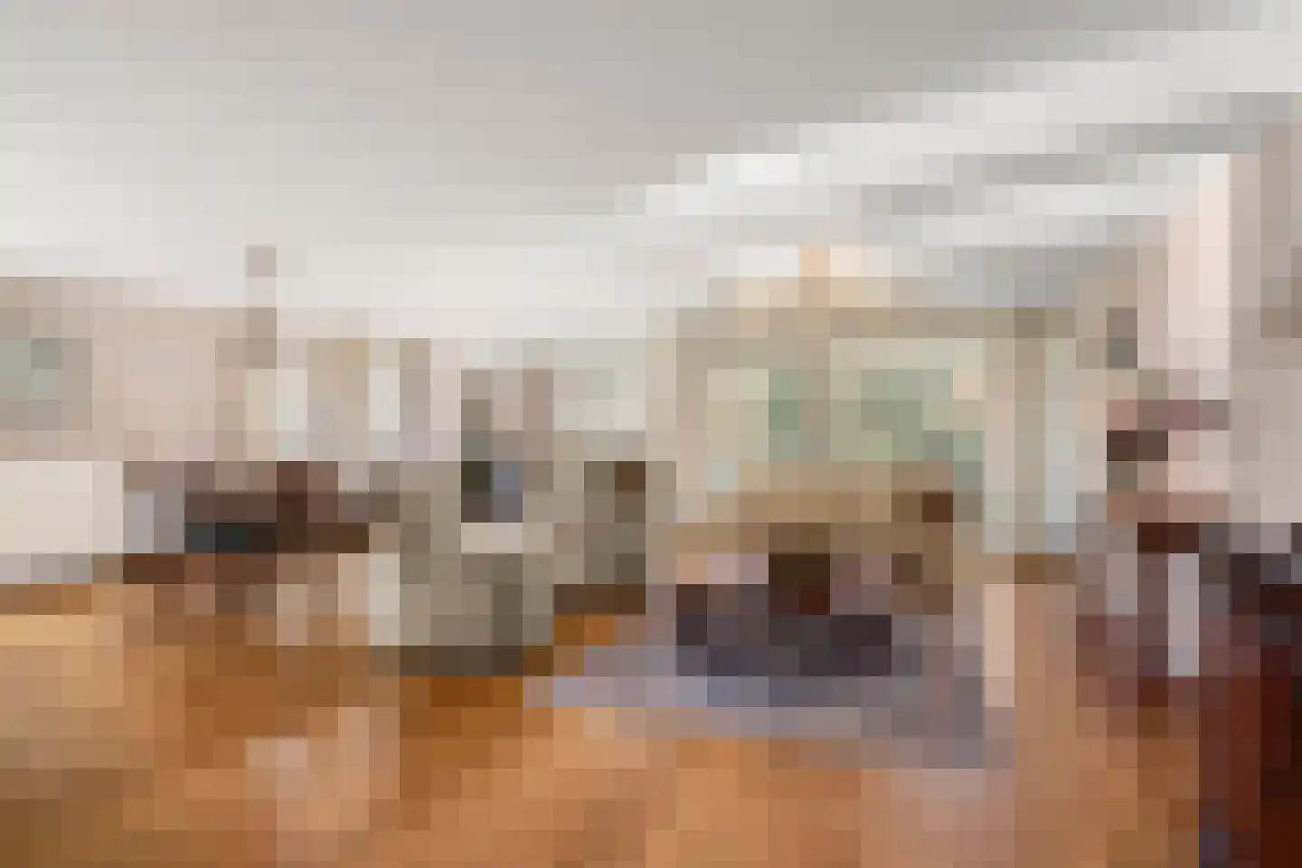 De Hooge Vlucht 3 Ede thumbnail 14