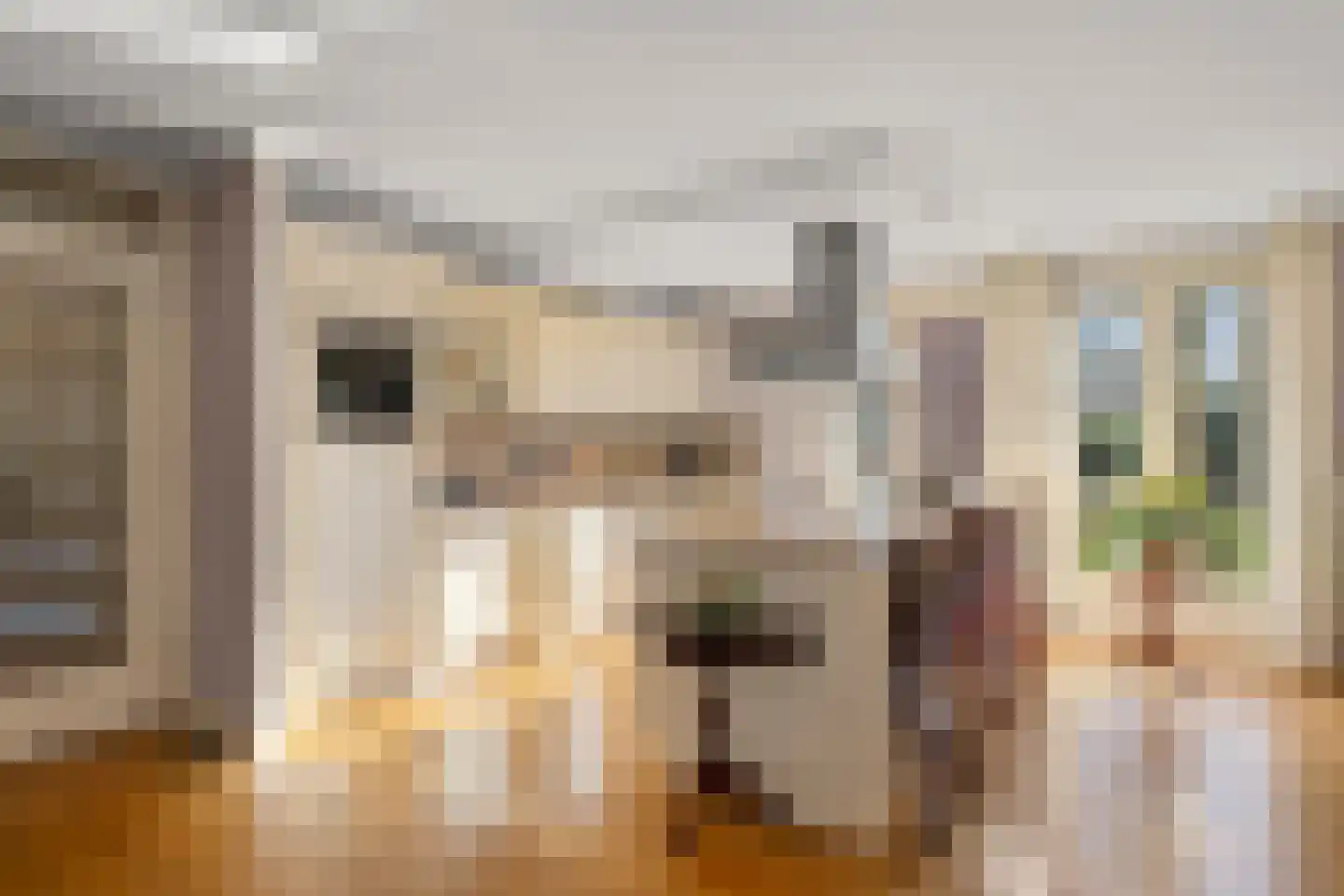 De Hooge Vlucht 3 Ede thumbnail 25