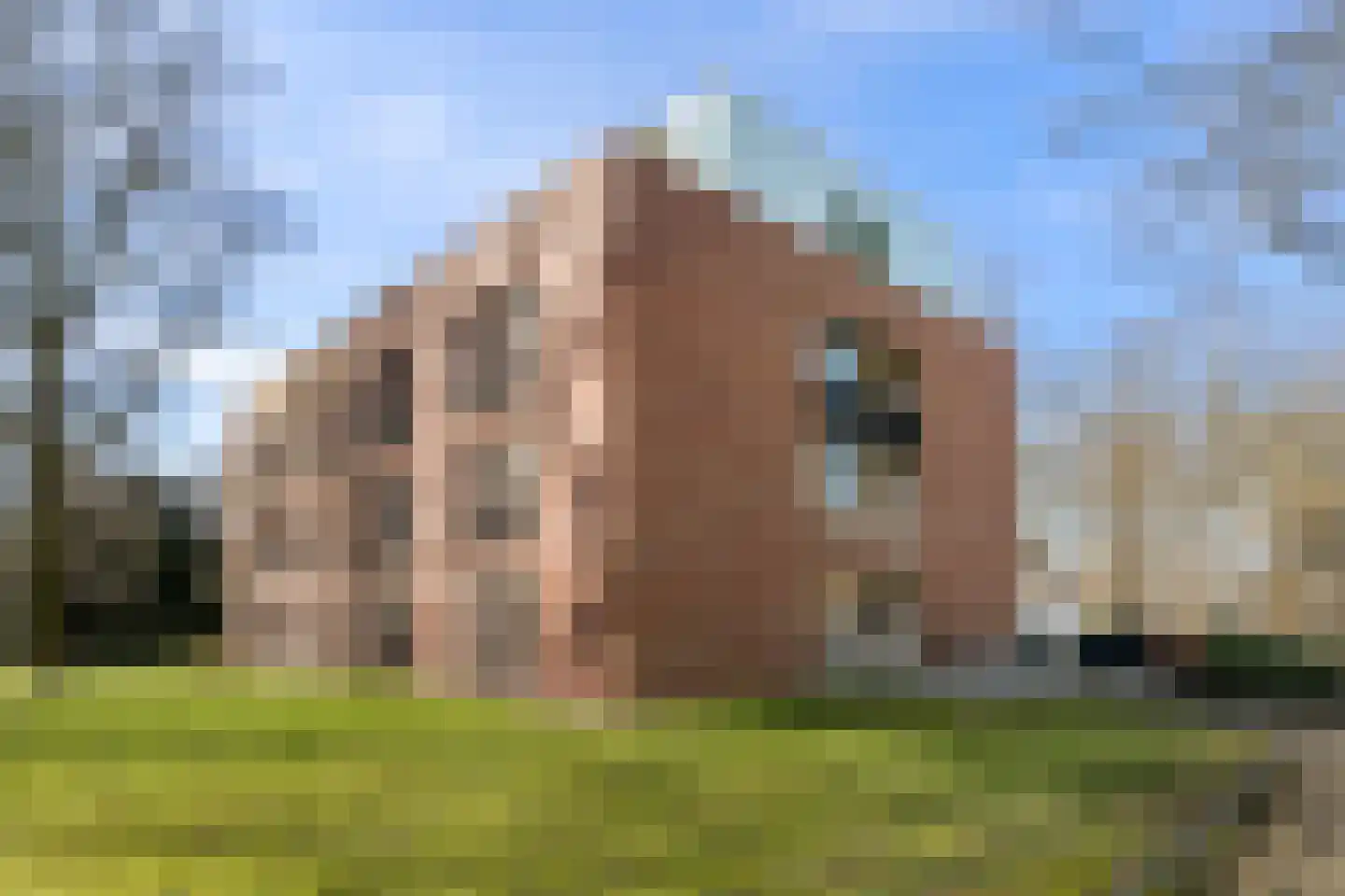 De Hooge Vlucht 3 Ede thumbnail 50