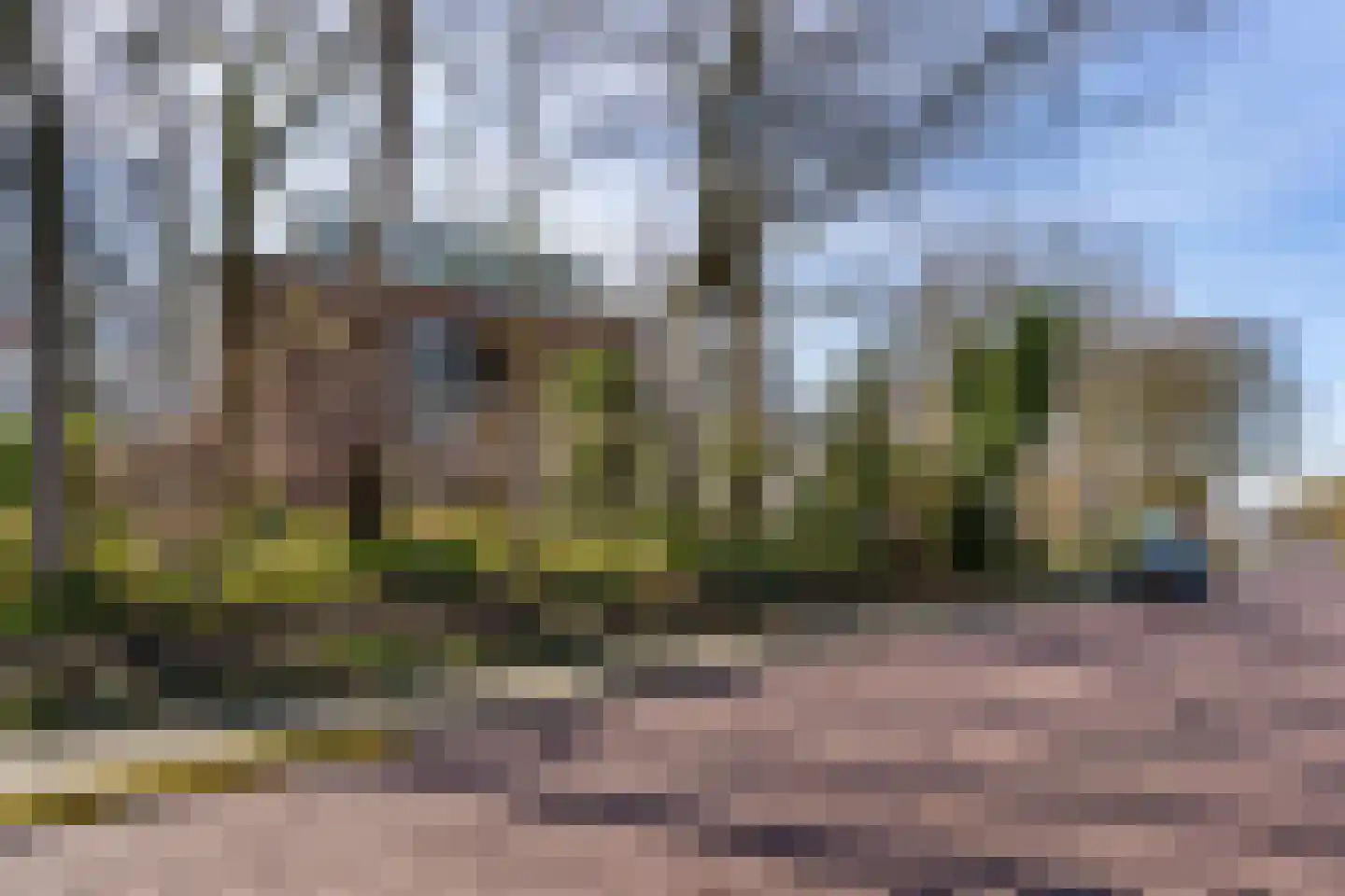 De Hooge Vlucht 3 Ede thumbnail 54