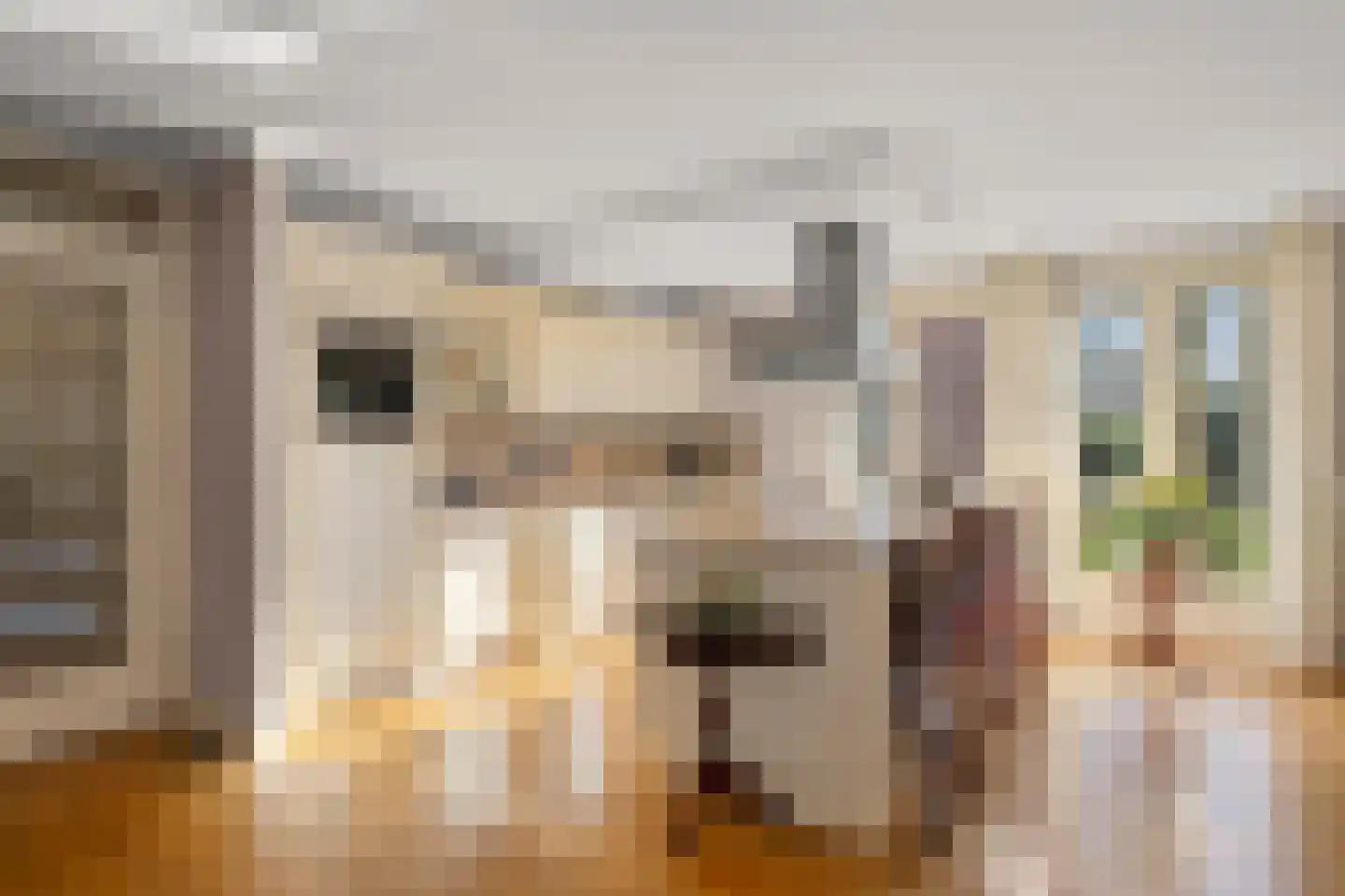 De Hooge Vlucht 3 Ede thumbnail 7