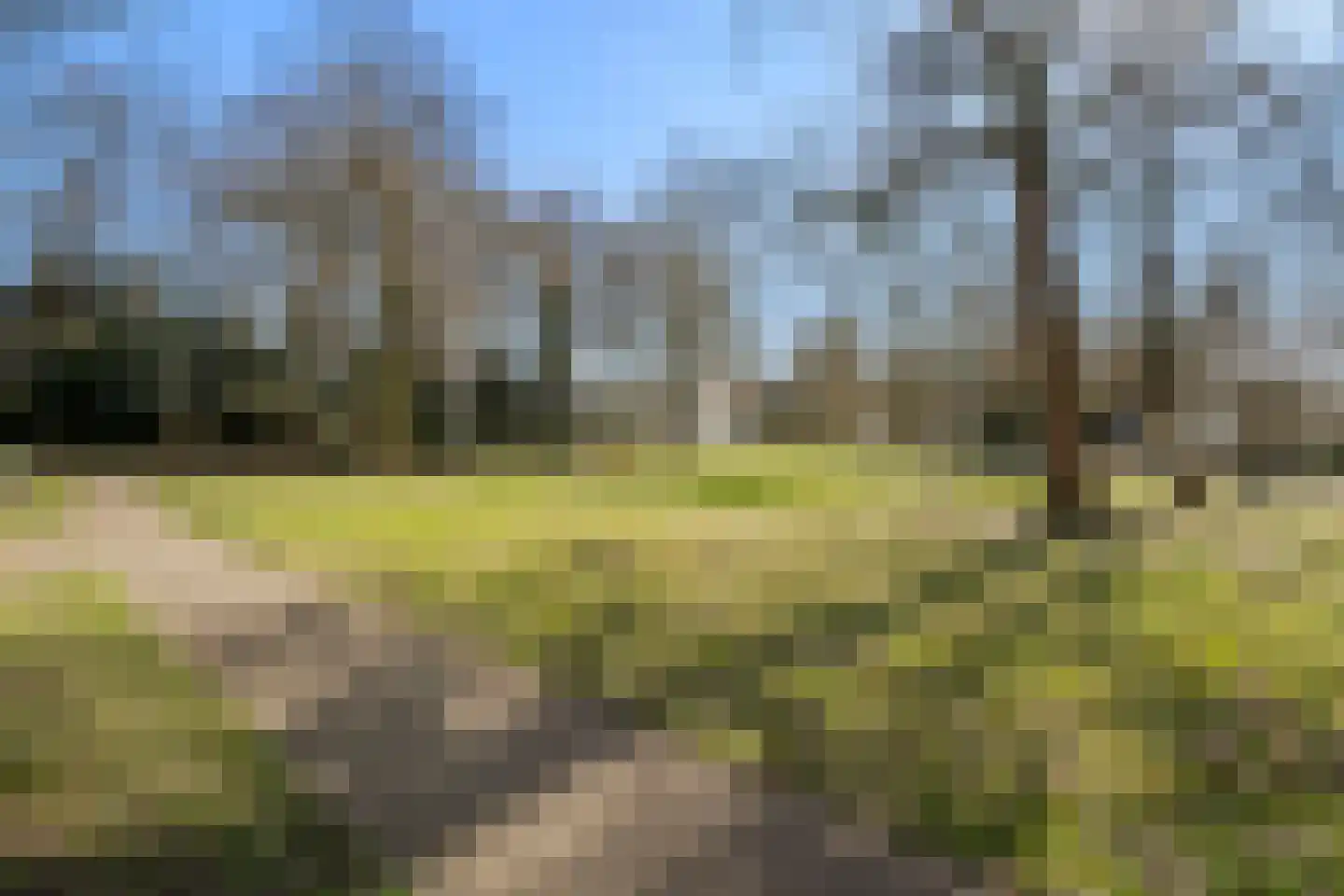 De Hooge Vlucht 3 Ede thumbnail 8