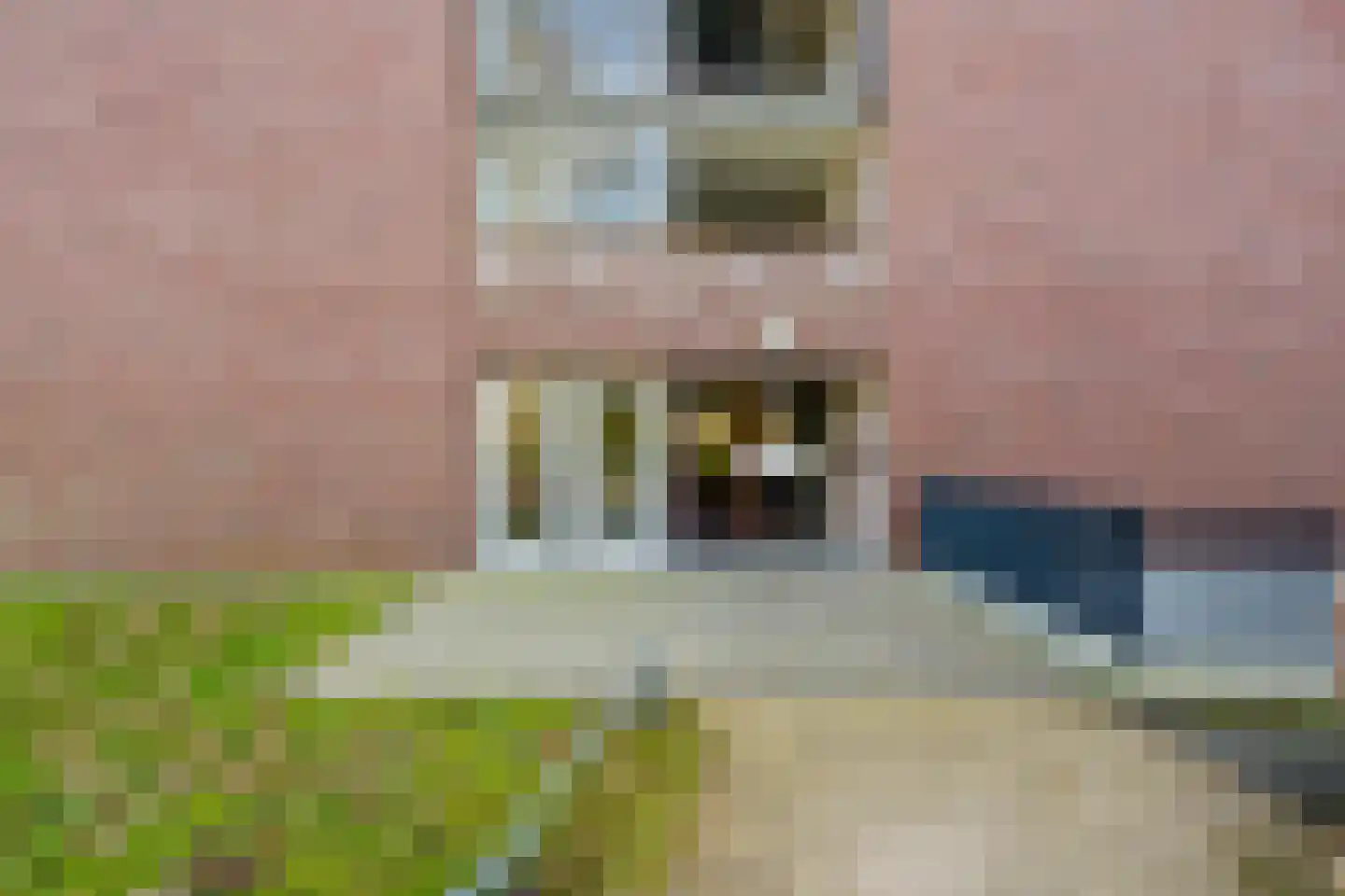 De Hooge Vlucht 3 Ede thumbnail 9