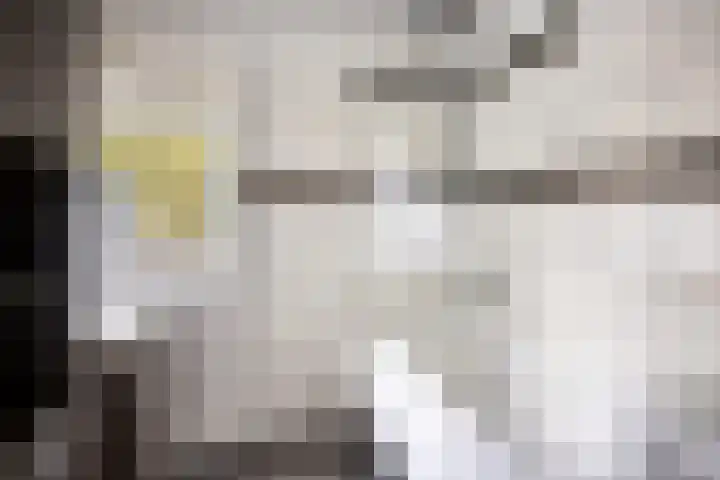 de Hooge Wheeën 12 Oldemarkt thumbnail 17