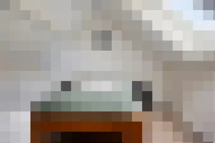 de Hooge Wheeën 12 Oldemarkt thumbnail 21