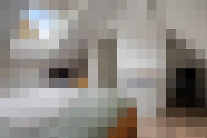de Hooge Wheeën 12 Oldemarkt thumbnail 22