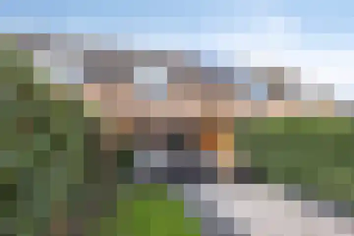 de Hooge Wheeën 12 Oldemarkt thumbnail 23
