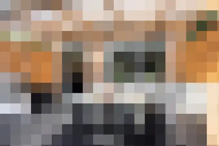 de Hooge Wheeën 12 Oldemarkt thumbnail 24