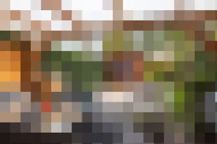 de Hooge Wheeën 12 Oldemarkt thumbnail 25
