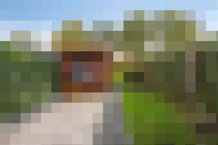 de Hooge Wheeën 12 Oldemarkt thumbnail 26