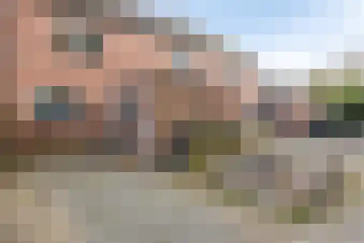 de Hooge Wheeën 12 Oldemarkt thumbnail 30
