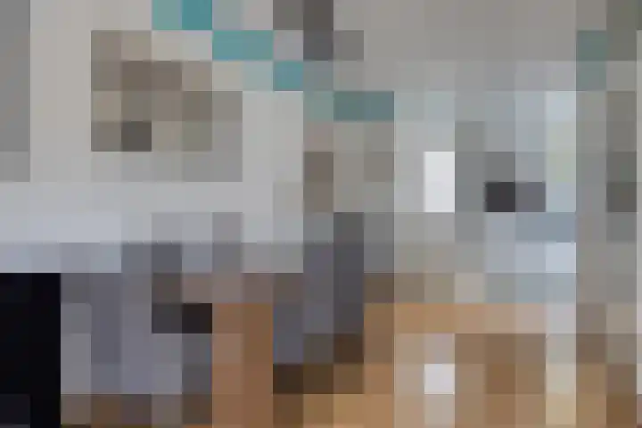 de Hooge Wheeën 12 Oldemarkt thumbnail 5
