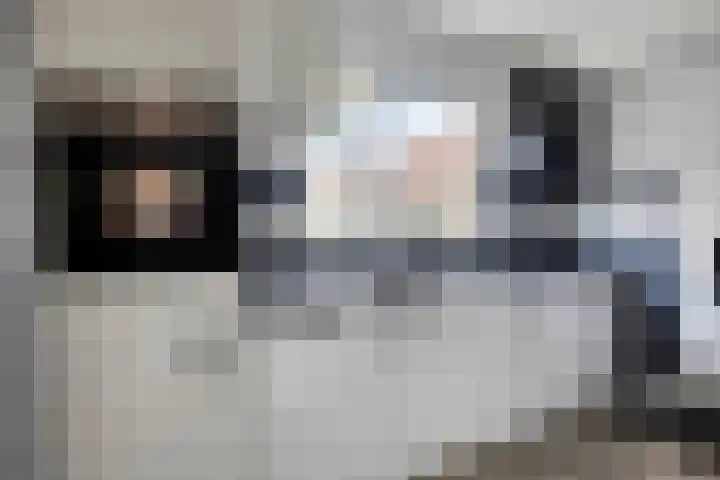 de Hooge Wheeën 12 Oldemarkt thumbnail 6