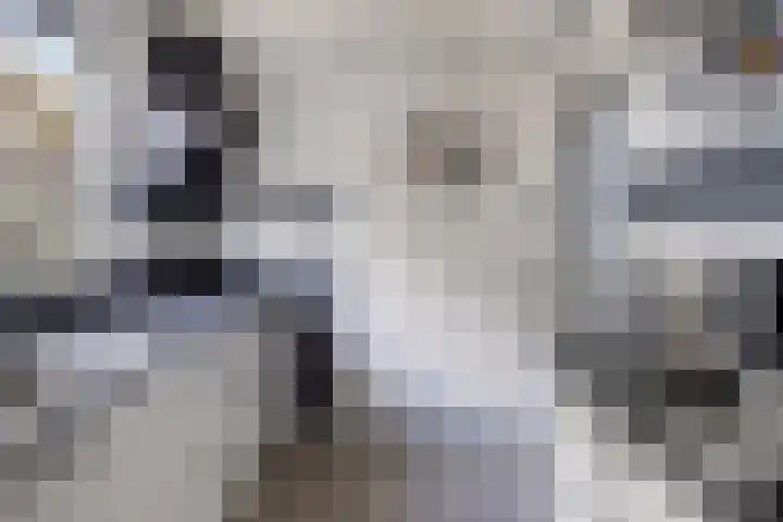 de Hooge Wheeën 12 Oldemarkt thumbnail 8