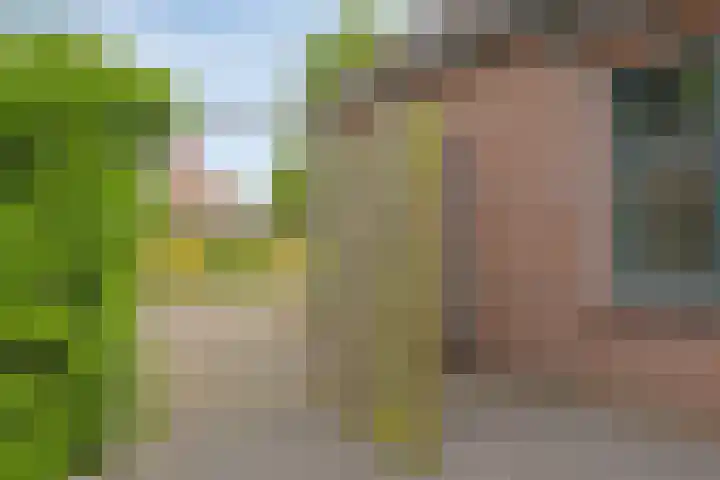 de Hooge Wheeën 18 Oldemarkt thumbnail 18