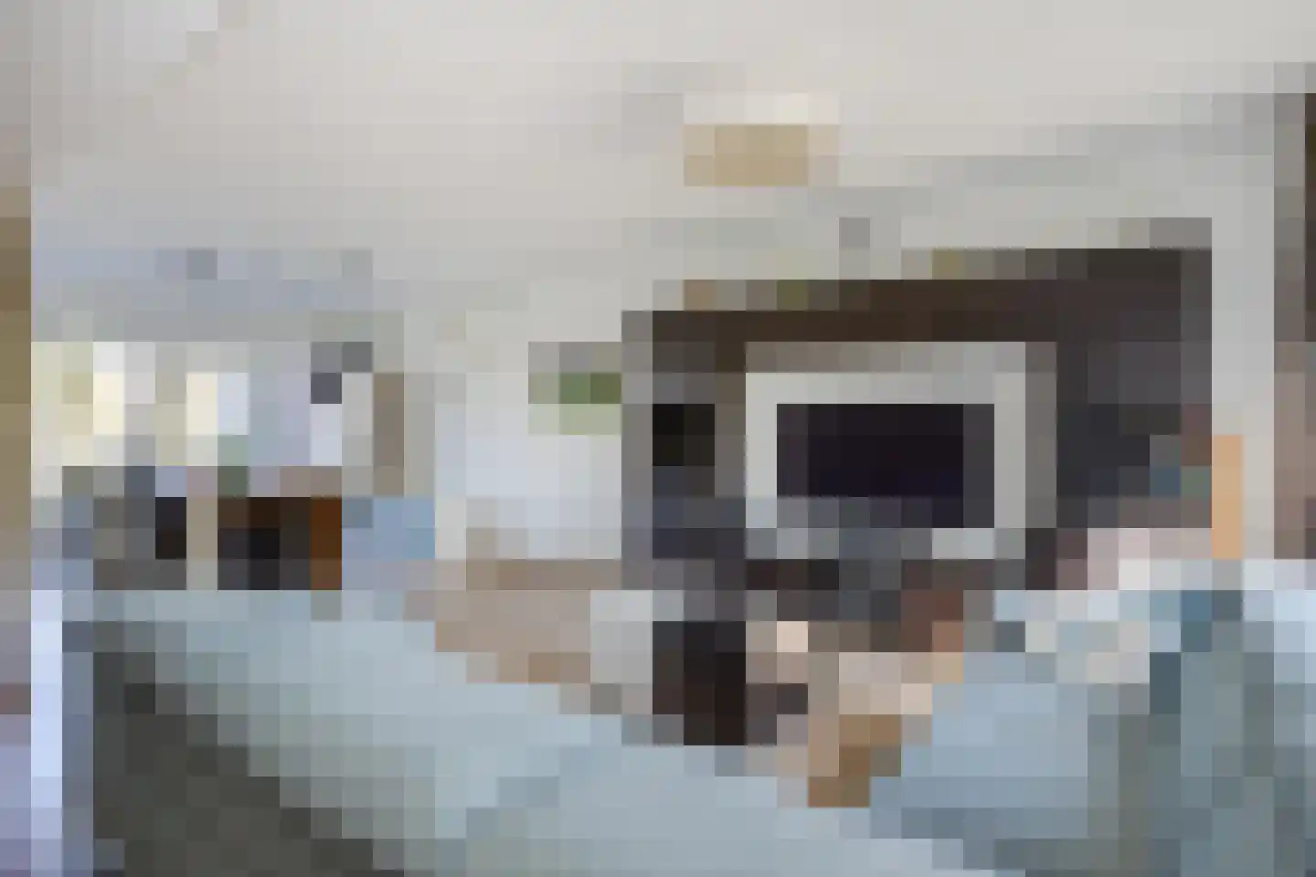 De Hooghkamer 25 Voorschoten thumbnail 10
