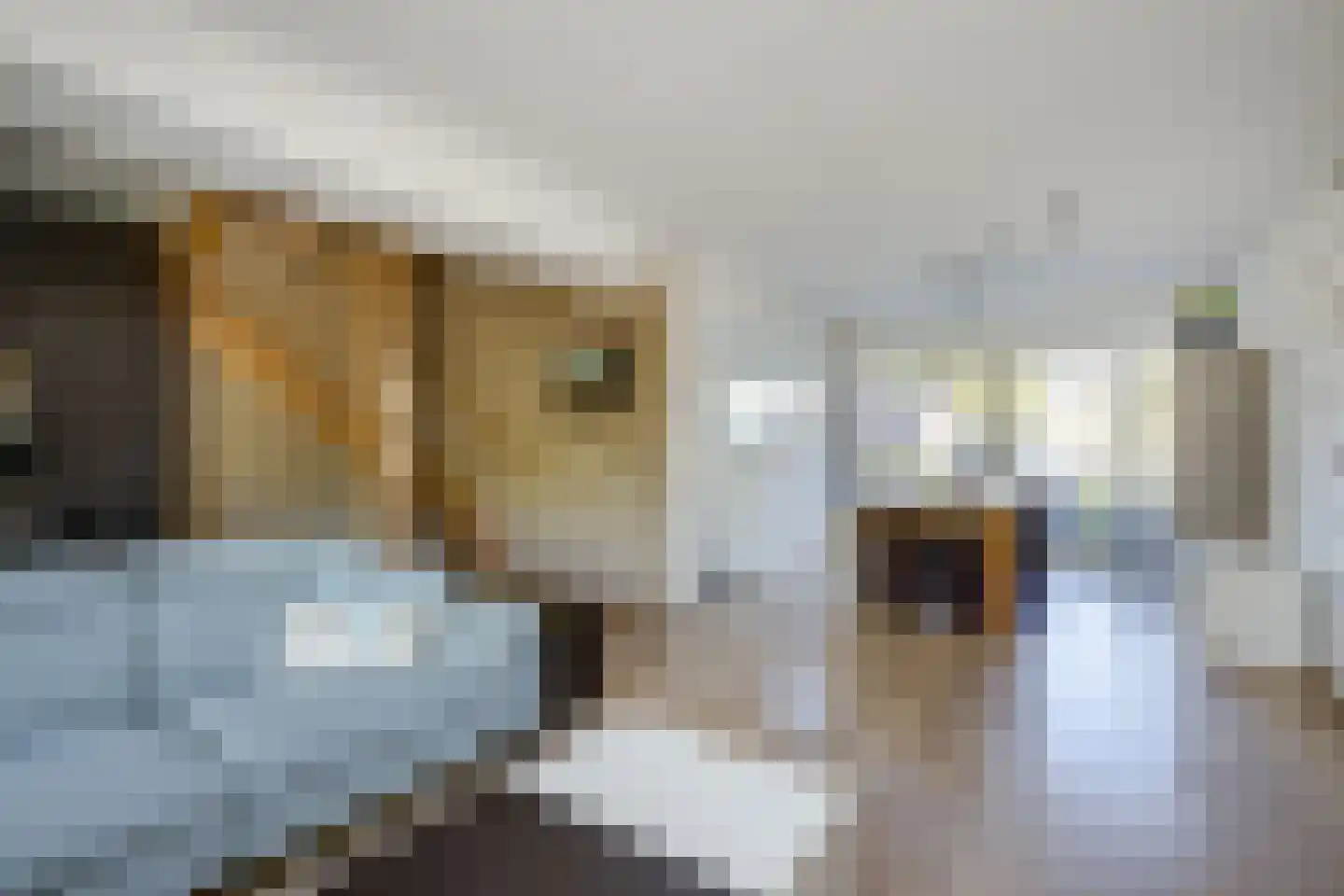 De Hooghkamer 25 Voorschoten thumbnail 11