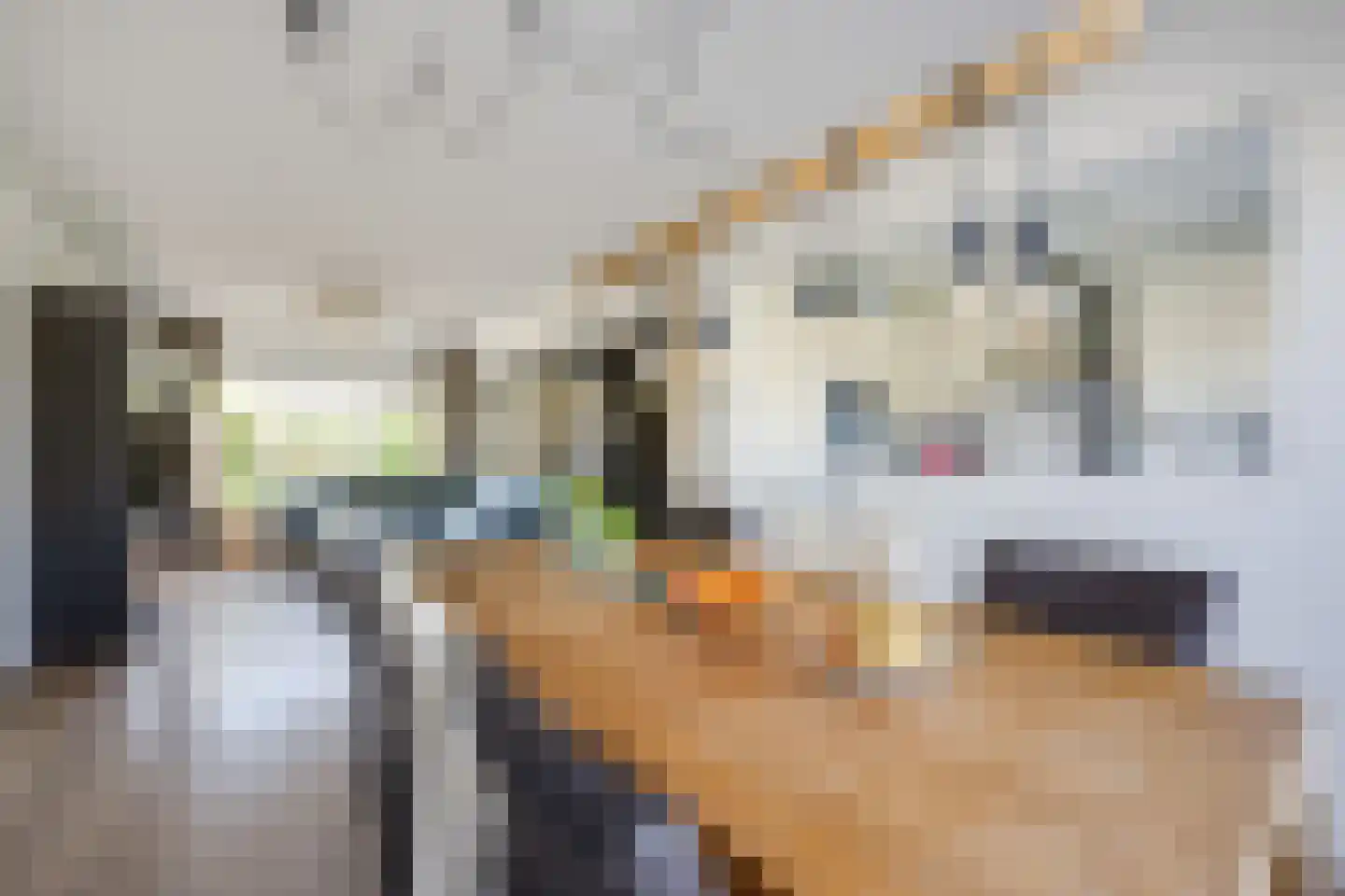 De Hooghkamer 25 Voorschoten thumbnail 13
