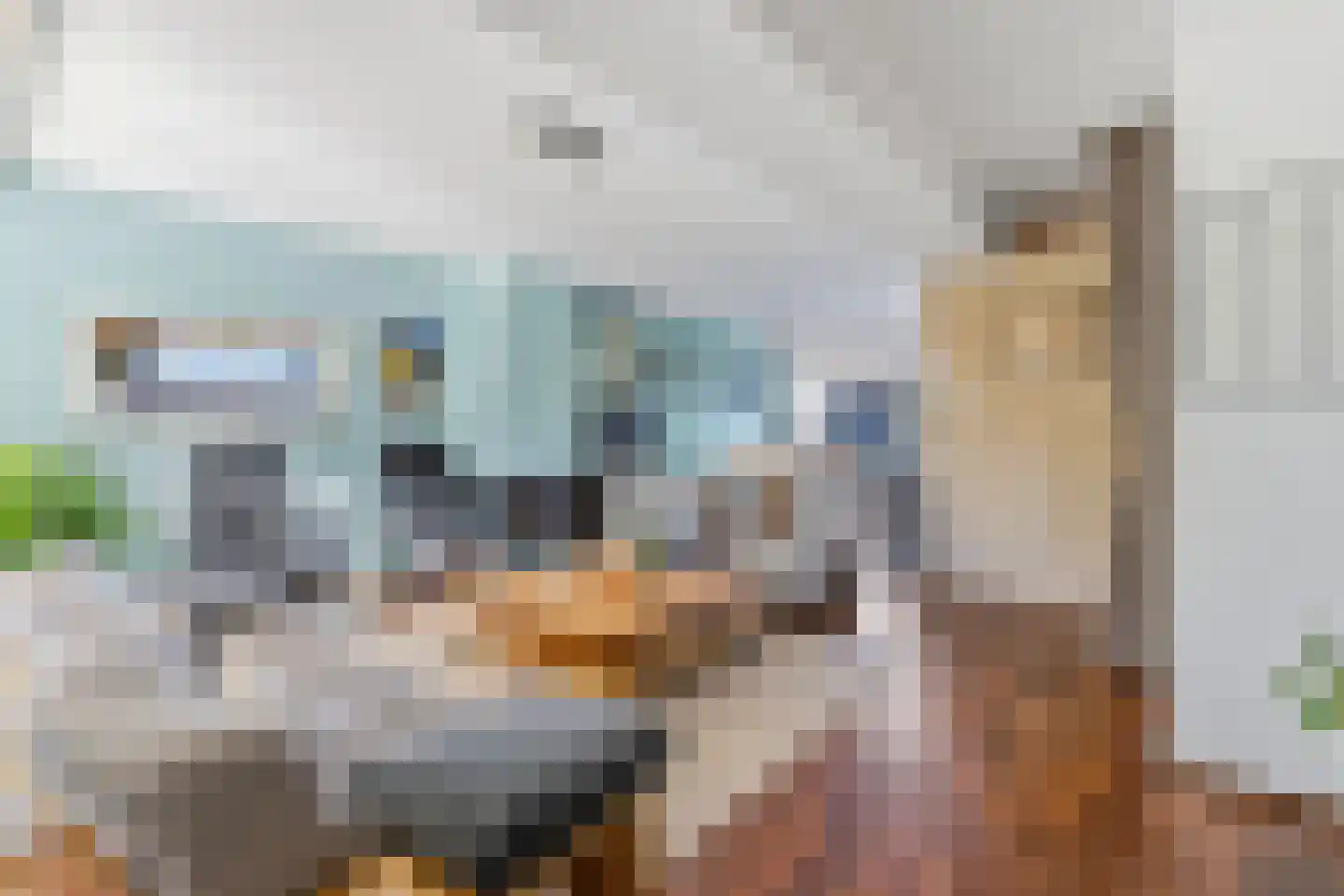 De Hooghkamer 3 Voorschoten thumbnail 11