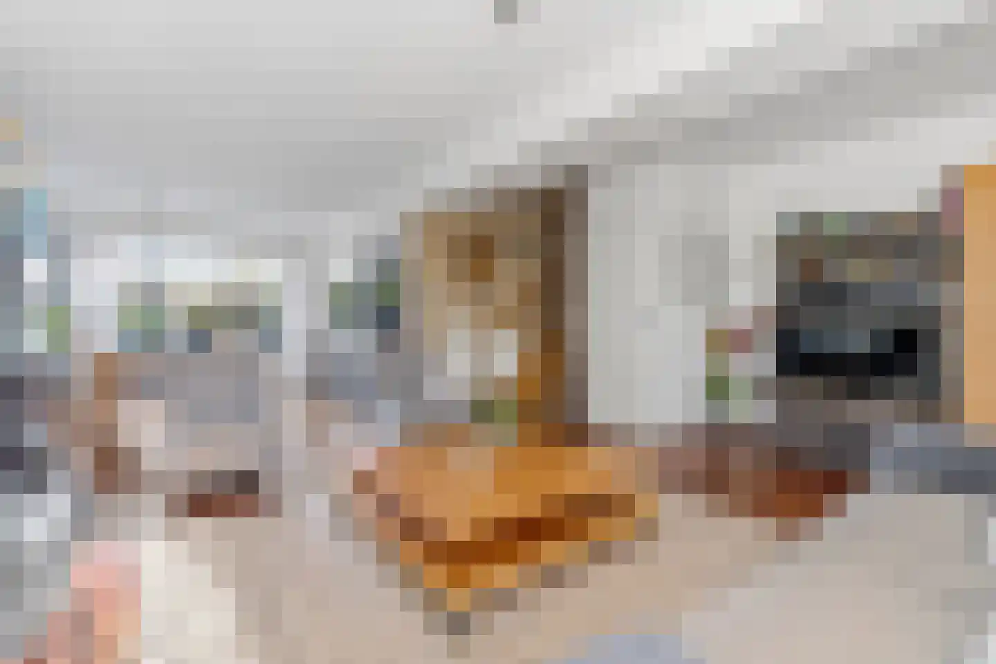 De Hooghkamer 3 Voorschoten thumbnail 14