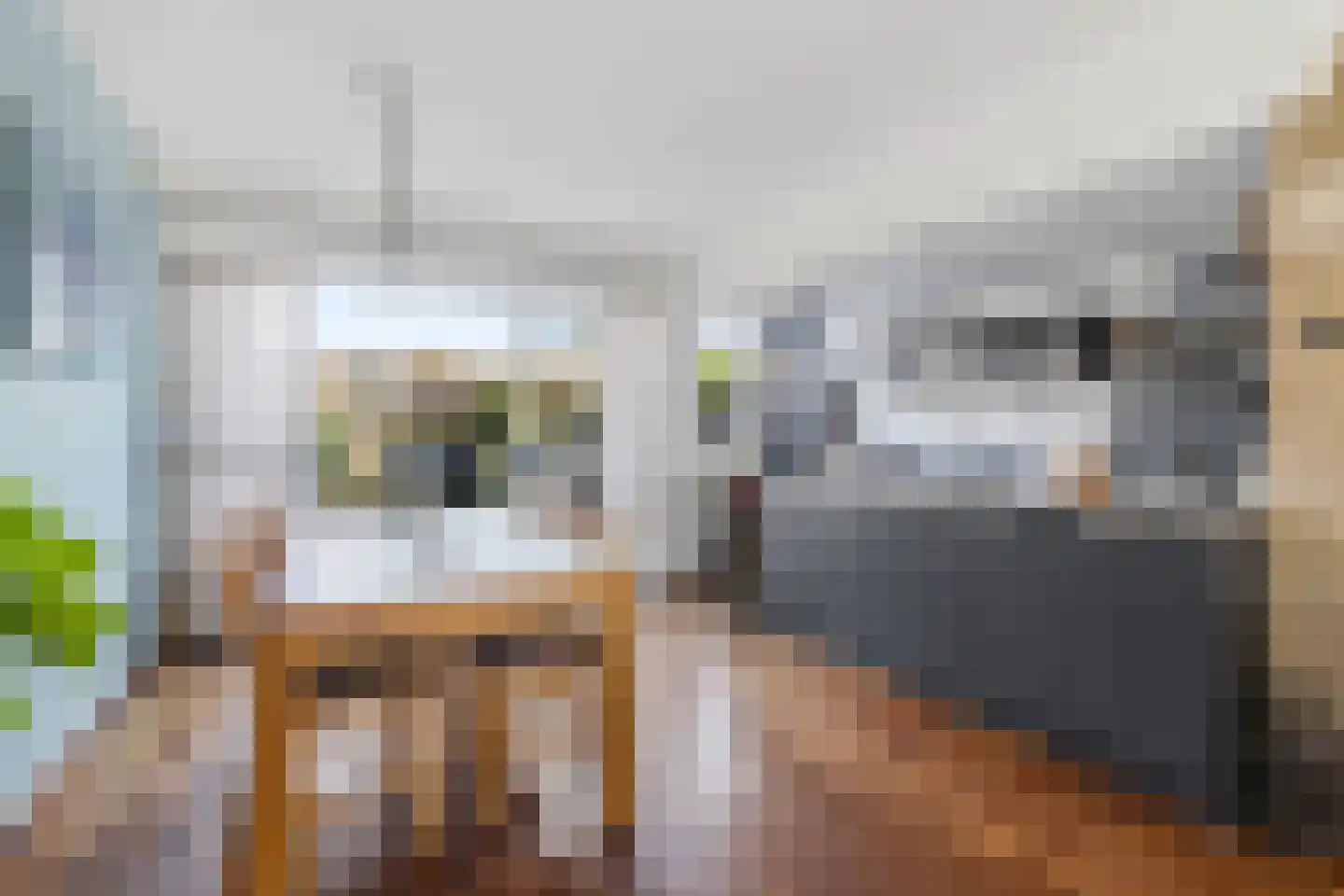 De Hooghkamer 3 Voorschoten thumbnail 16