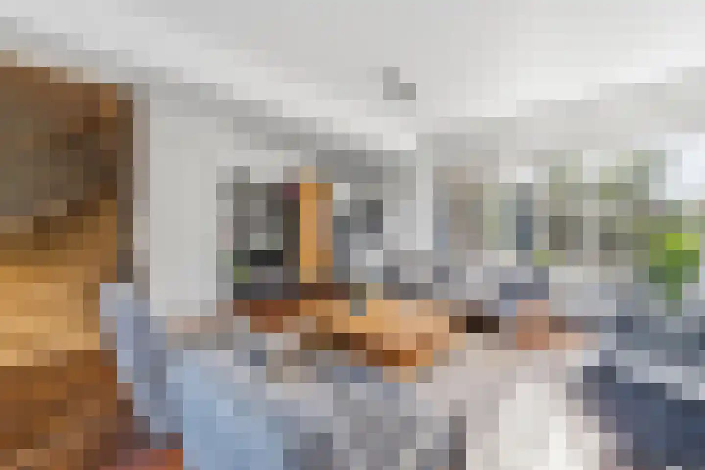 De Hooghkamer 3 Voorschoten thumbnail 39