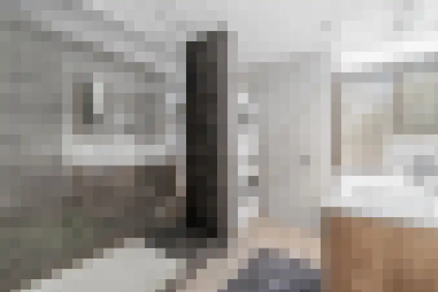 De Hooghkamer 3 Voorschoten thumbnail 41